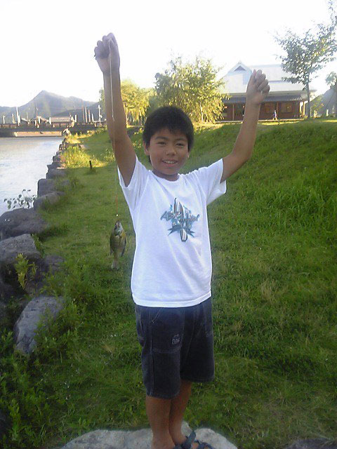 Scrolling image 11